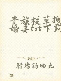 贵族校草拽拽未婚妻txt下载
