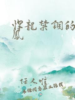 悍龙禁锢的小野凤