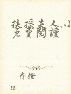 扶摇夫人.小说免费阅读