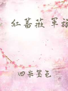 红蔷薇 军旅文