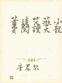 萧琰艾薇小说免费阅读天龙殿