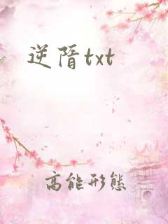 逆隋txt