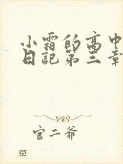 小霜的高中成长日记第三章