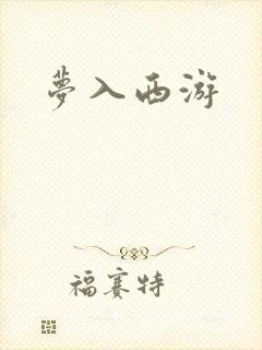 梦入西游