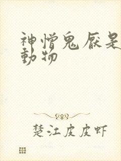 神憎鬼厌是什么动物