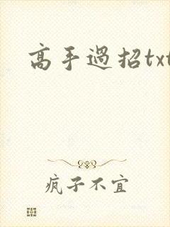 高手过招txt