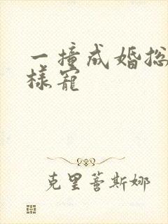 一撞成婚总裁花样宠