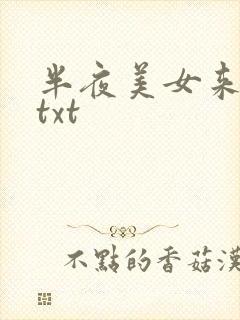 半夜美女来敲门txt