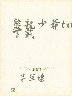 盘龙少爷txt下载