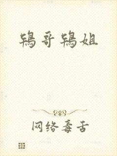 鸨哥鸨姐