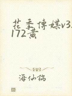 花季传媒v3.172黄