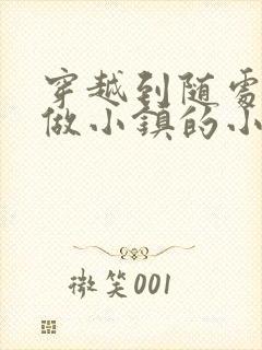 穿越到随处可以做小镇的小说