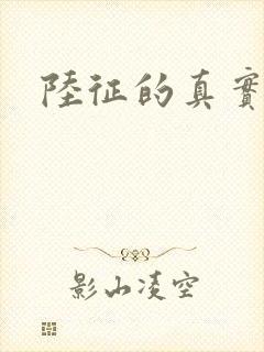 陆征的真实身份