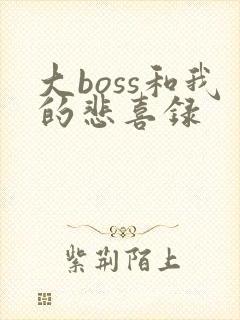 大boss和我的悲喜录