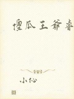 傻瓜王爷睿智妃