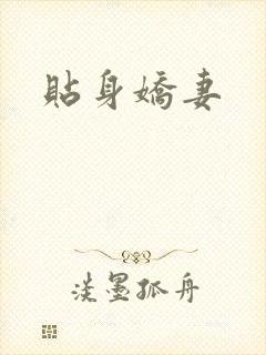 贴身娇妻
