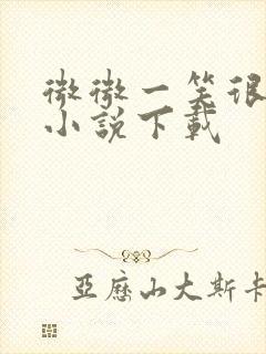 微微一笑很倾城小说下载