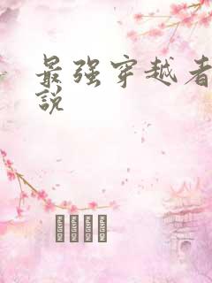 最强穿越者 小说