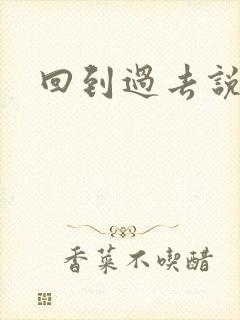 回到过去说爱你