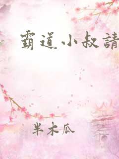 霸道小叔请轻撩