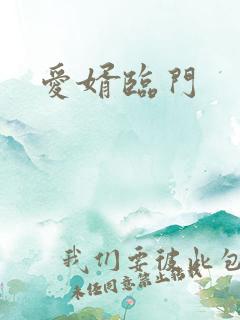 爱婿临门