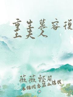 重生慕容复之弄王夫人