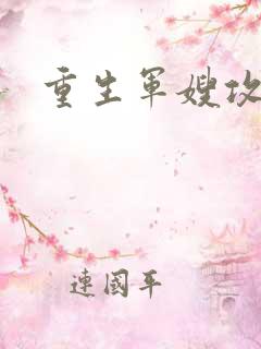重生军嫂攻略