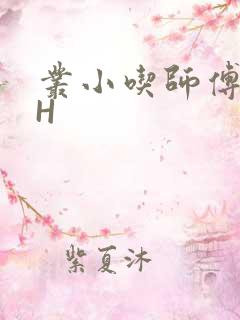 丛小吃师傅的HH