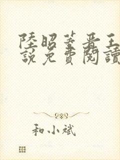 陆昭菱晋王的小说免费阅读