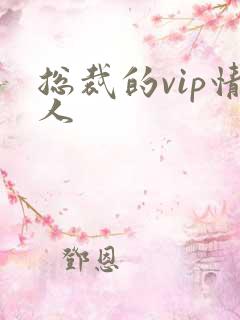 总裁的vip情人