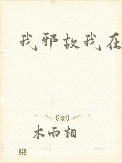 我邪故我在