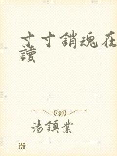 寸寸销魂在线阅读