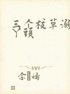 三个校草溺爱拽丫头