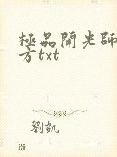 极品开光师李南方txt