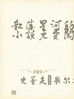 散落星河的记忆小说免费阅读全文