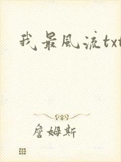 我最风流txt
