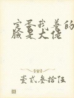 完蛋我养的小白脸是大佬