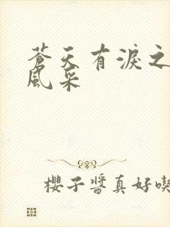 苍天有泪之军人风采