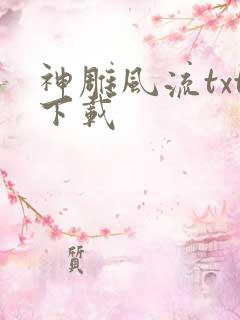 神雕风流txt下载