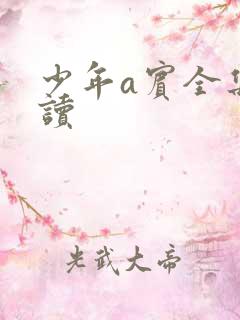 少年a宾全集阅读