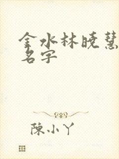 金水林晓慧小说名字
