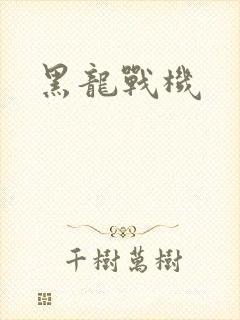 黑龙战机