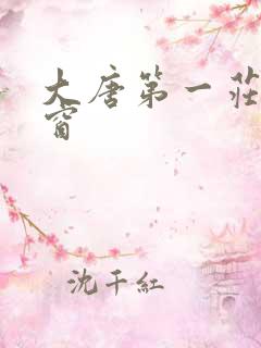 大唐第一庄无弹窗