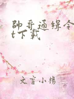 帅哥通缉令txt下载