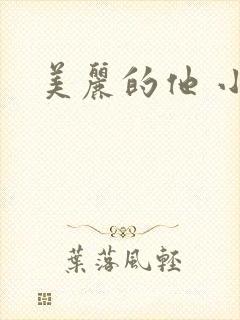 美丽的他 小说