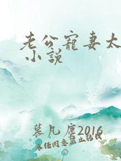 老公宠妻太甜蜜 小说