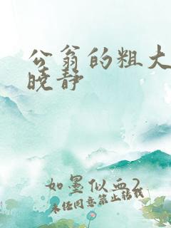 公翁的粗大放进晓静