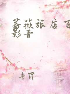 蔷薇旅店 百度影音