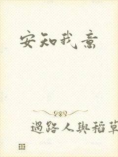 安知我意