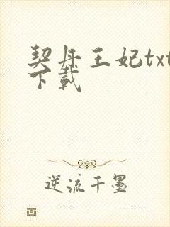 契丹王妃txt下载